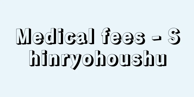 Medical fees - Shinryohoushu