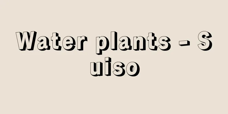 Water plants - Suiso