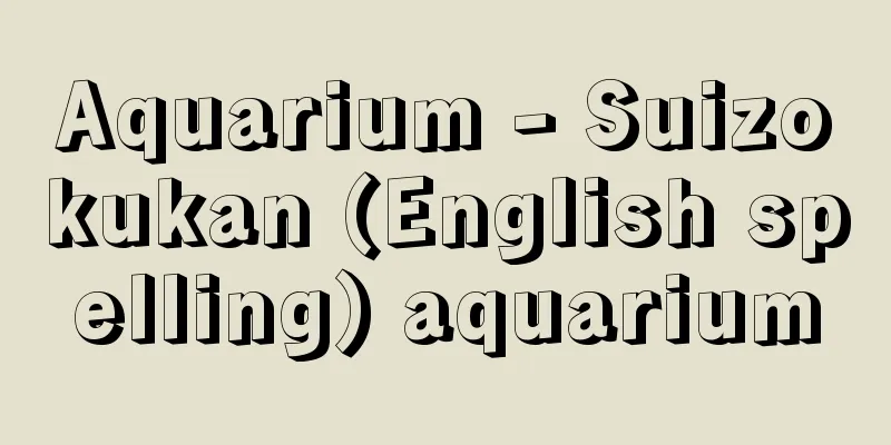 Aquarium - Suizokukan (English spelling) aquarium