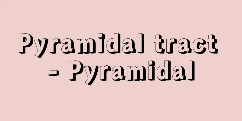 Pyramidal tract - Pyramidal