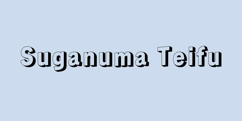 Suganuma Teifu