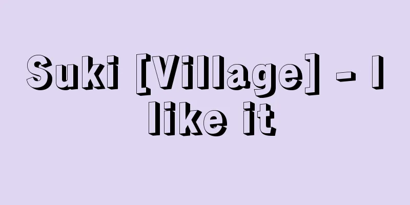Suki [Village] - I like it