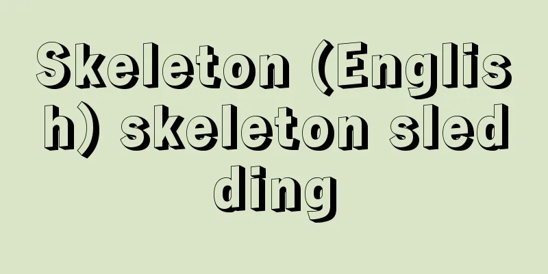 Skeleton (English) skeleton sledding