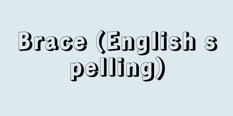 Brace (English spelling)