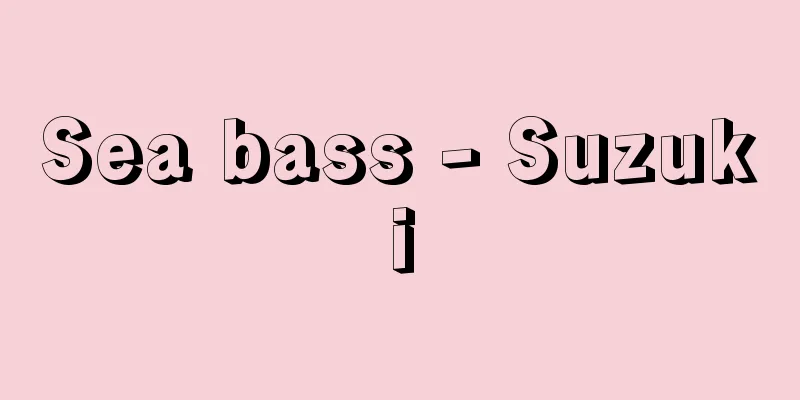 Sea bass - Suzuki