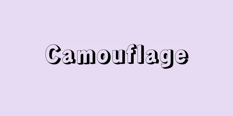 Camouflage