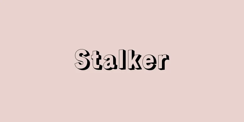Stalker