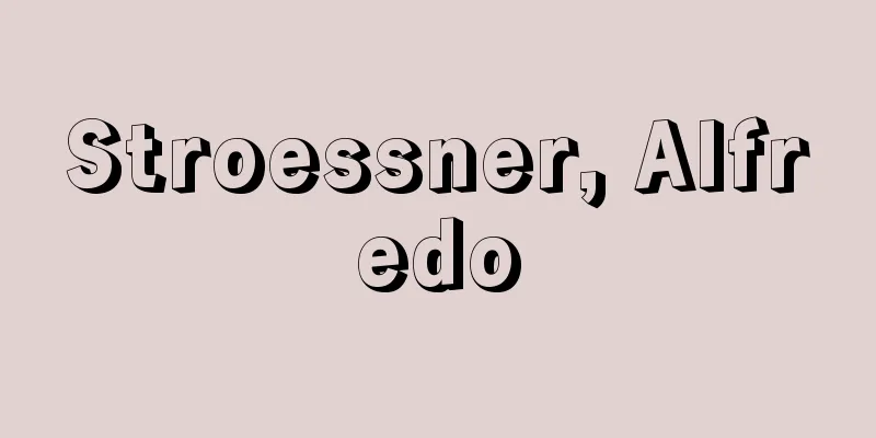 Stroessner, Alfredo