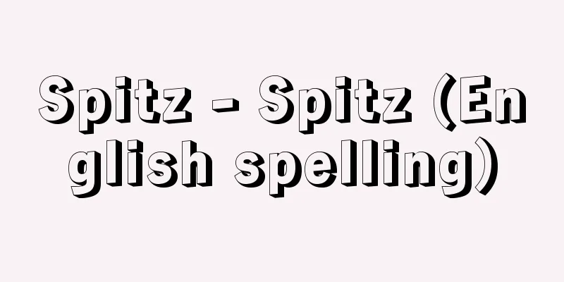 Spitz - Spitz (English spelling)