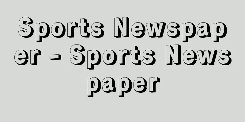Sports Newspaper - Sports Newspaper