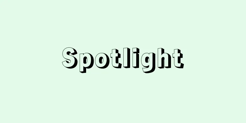 Spotlight