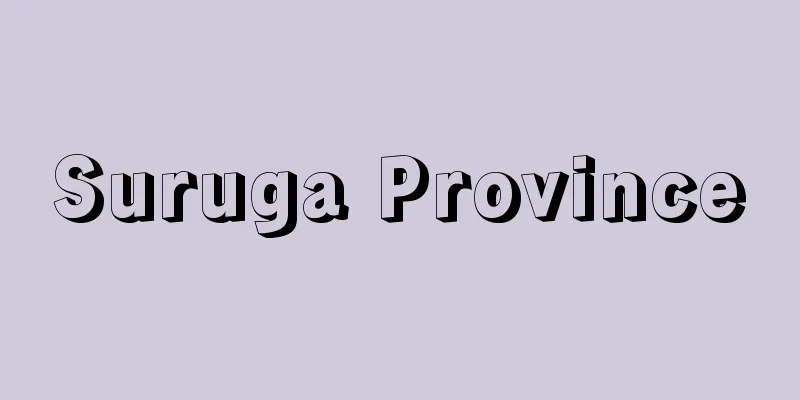 Suruga Province