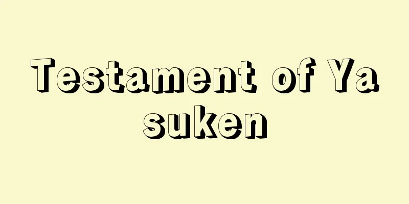 Testament of Yasuken