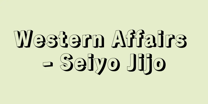 Western Affairs - Seiyo Jijo