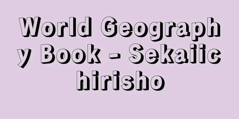 World Geography Book - Sekaiichirisho