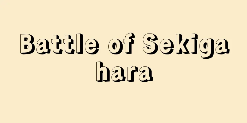 Battle of Sekigahara