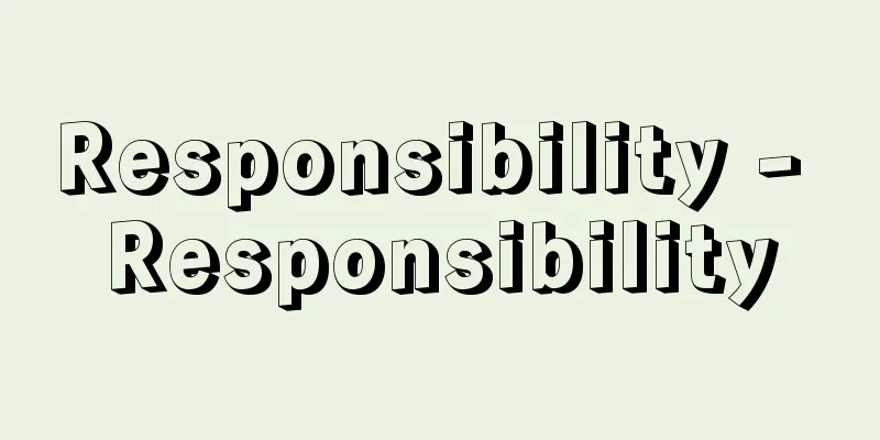 Responsibility - Responsibility