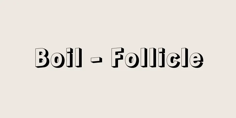 Boil - Follicle