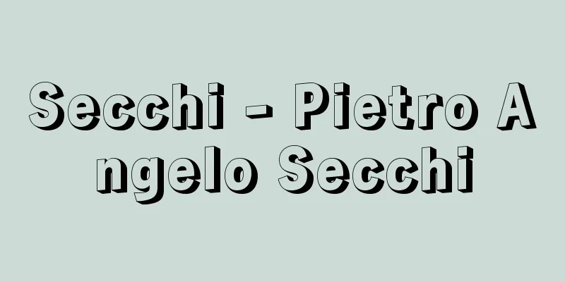 Secchi - Pietro Angelo Secchi