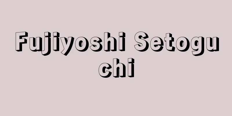 Fujiyoshi Setoguchi