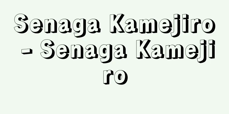 Senaga Kamejiro - Senaga Kamejiro