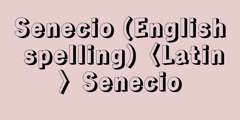 Senecio (English spelling)〈Latin〉Senecio