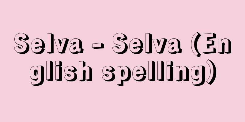 Selva - Selva (English spelling)