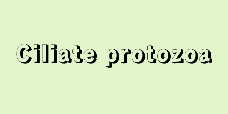 Ciliate protozoa