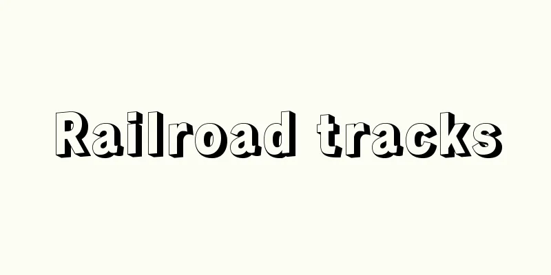 Railroad tracks