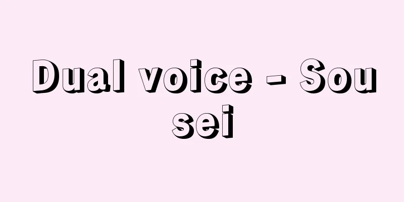 Dual voice - Sousei