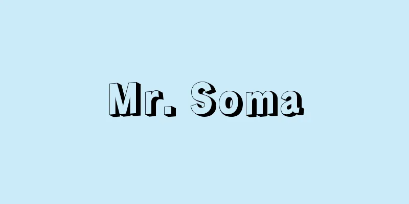 Mr. Soma