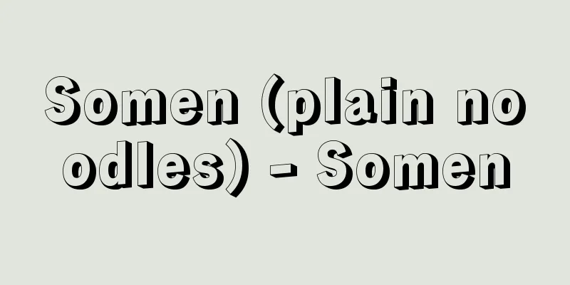 Somen (plain noodles) - Somen