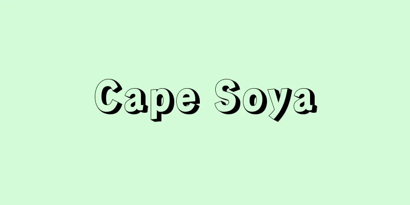 Cape Soya