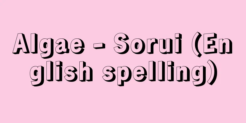 Algae - Sorui (English spelling)