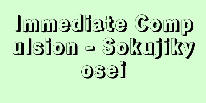 Immediate Compulsion - Sokujikyosei