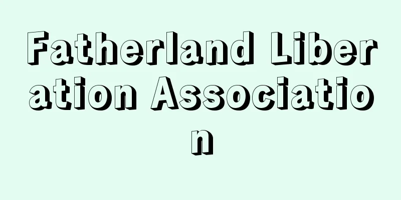 Fatherland Liberation Association