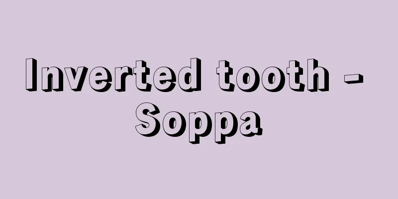 Inverted tooth - Soppa