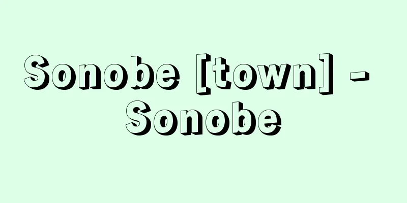 Sonobe [town] - Sonobe
