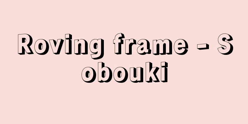 Roving frame - Sobouki