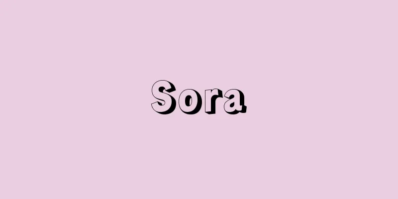 Sora