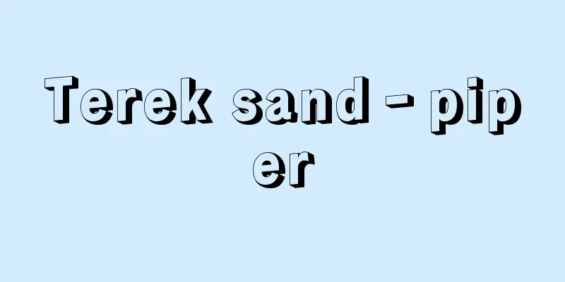 Terek sand‐piper