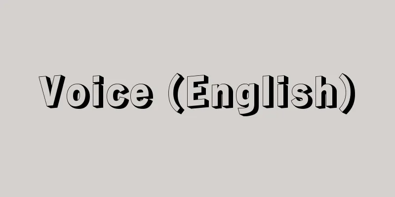 Voice (English)
