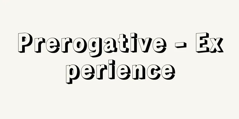 Prerogative - Experience