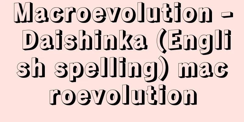Macroevolution - Daishinka (English spelling) macroevolution