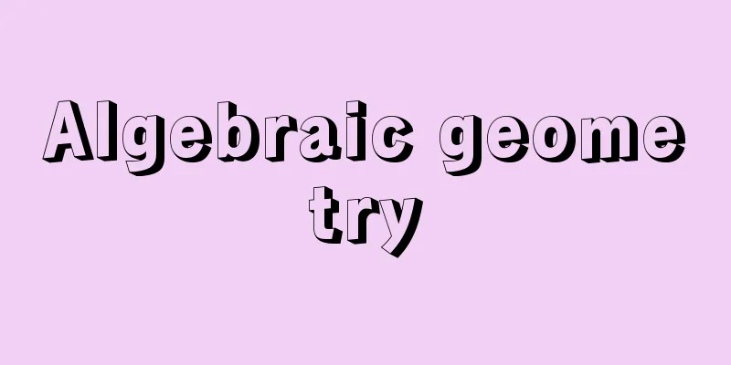 Algebraic geometry