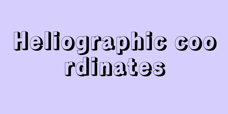 Heliographic coordinates