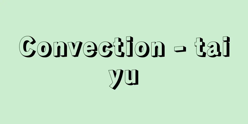 Convection - taiyu