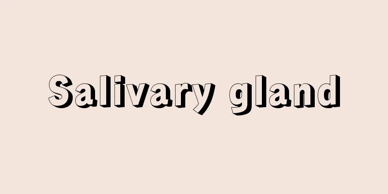 Salivary gland