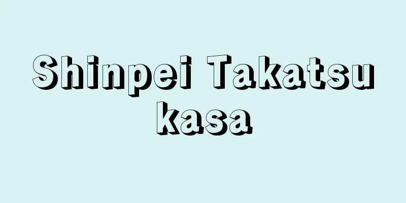 Shinpei Takatsukasa