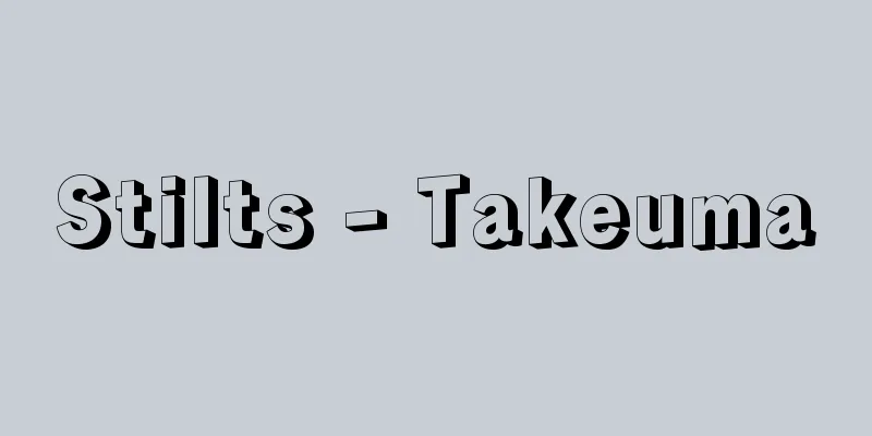 Stilts - Takeuma